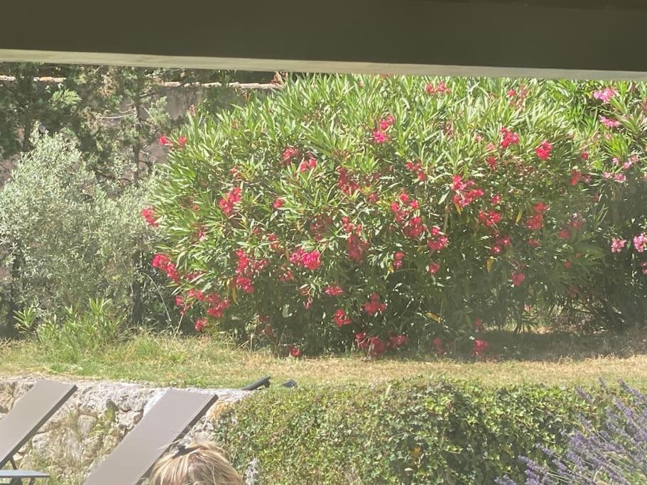 Ar De Vie Villa Chaleureuse En Provence Ventabren Buitenkant foto